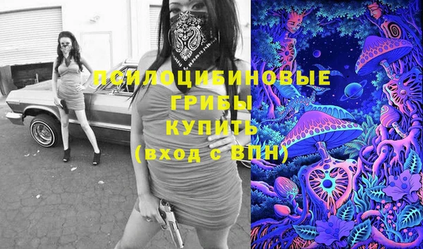 героин Алексин