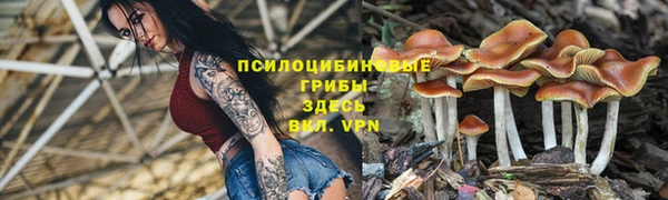 спиды Алзамай