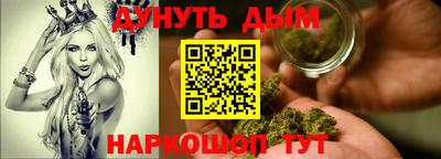 сатива Кандалакша