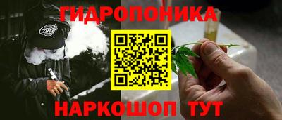 сатива Кандалакша