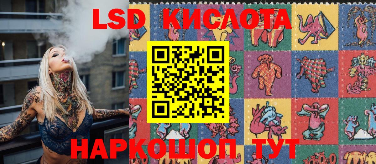 Кудрово  Вход с VPN  Каннабис  Меф   ГАШ 