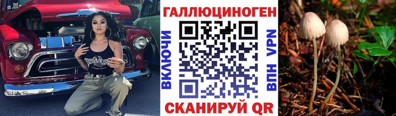 Галлюциногенные грибы Psilocybe Кудрово